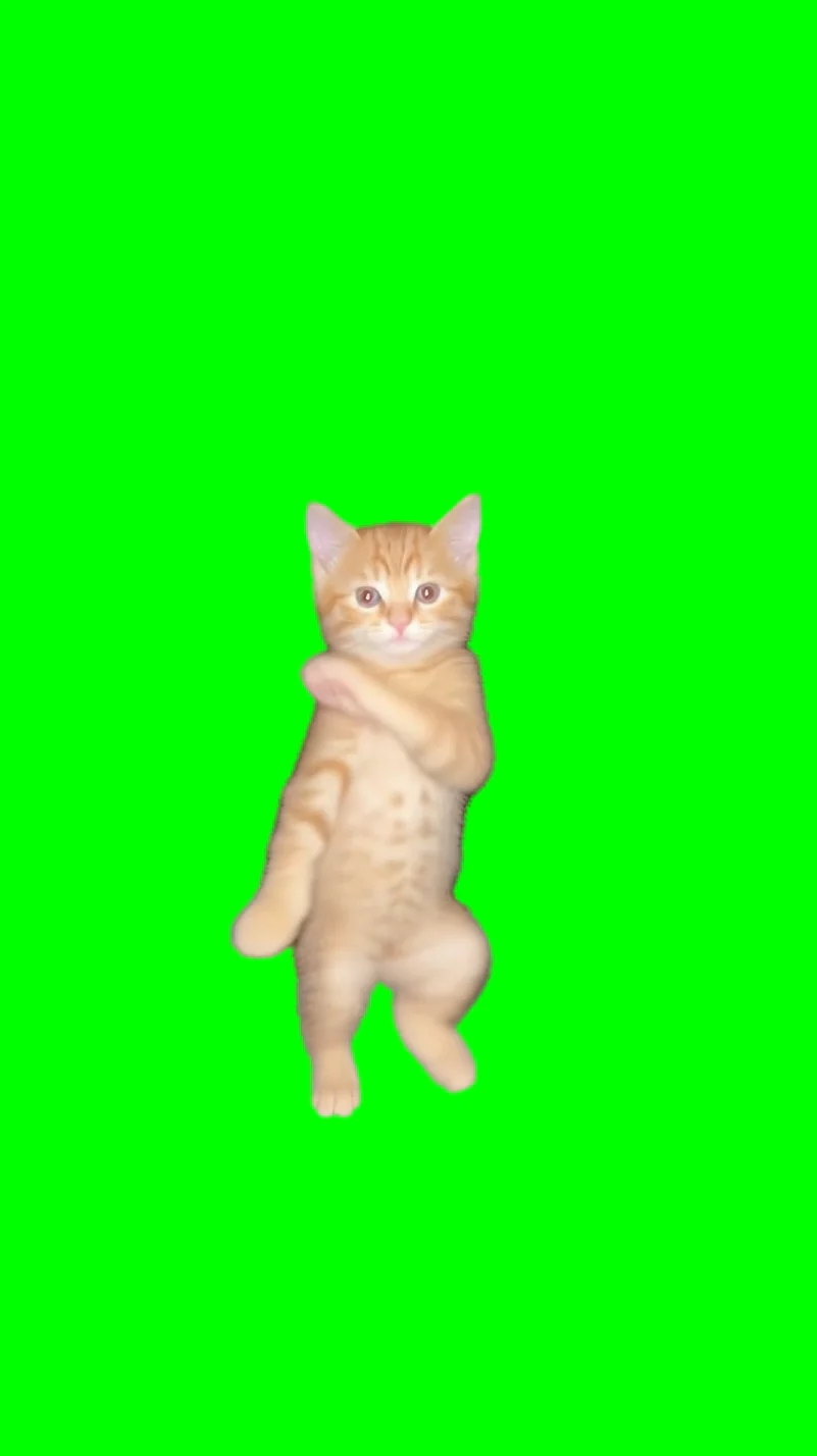 Trending Green Screens 🔥